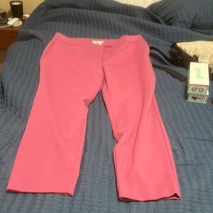 Biden pink ankle trousers US 16